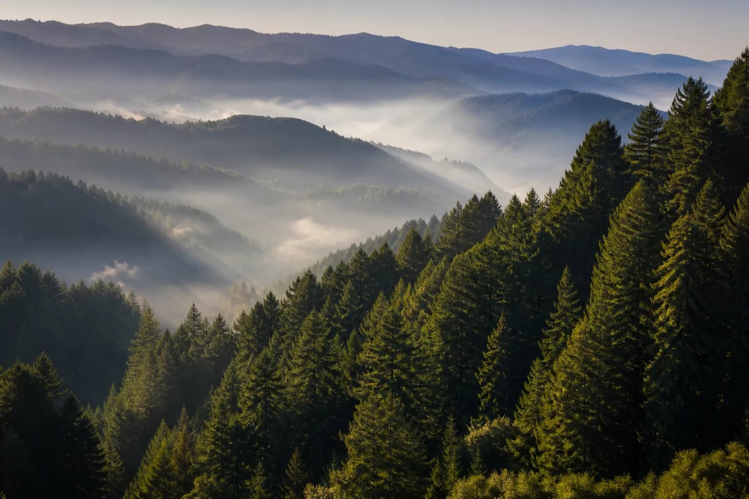 Mountain ridgelines and forested slopes near Felton